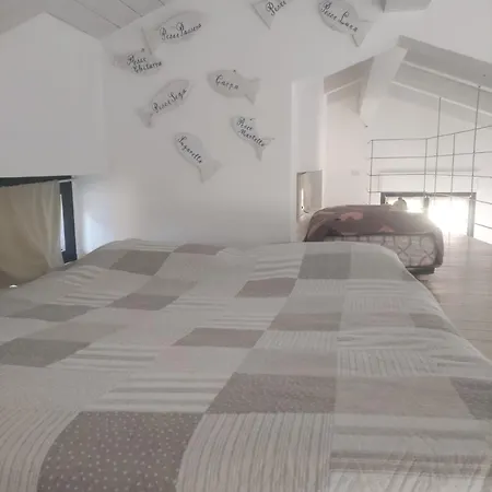 Con Ampio Terrazzo Attrezzato Anche Con Angolo Cottura * Spotorno